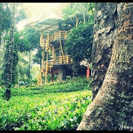 Jungle Jive Treehouse And Farm House مونار المظهر الخارجي الصورة