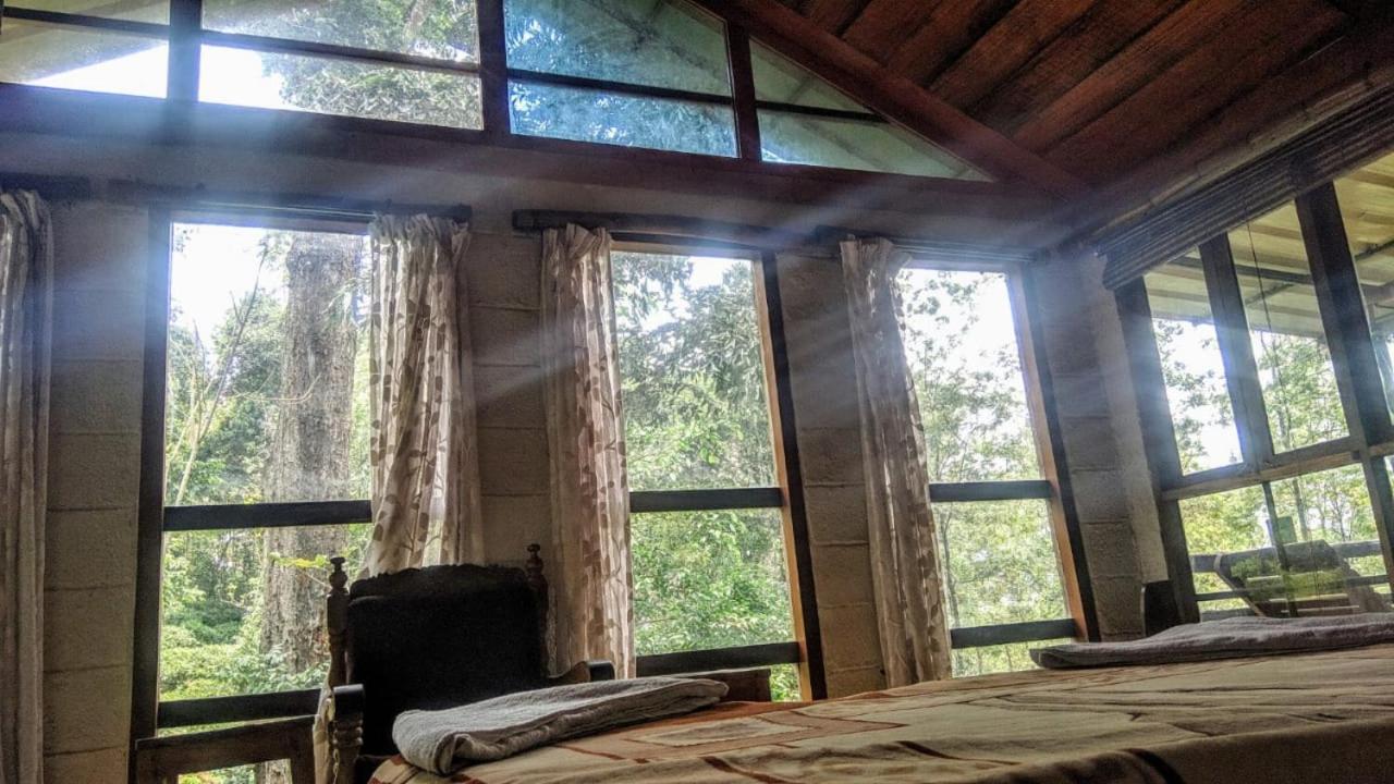 Jungle Jive Treehouse And Farm House مونار المظهر الخارجي الصورة
