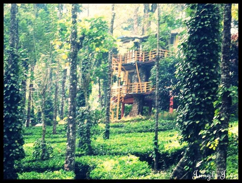 Jungle Jive Treehouse And Farm House مونار المظهر الخارجي الصورة