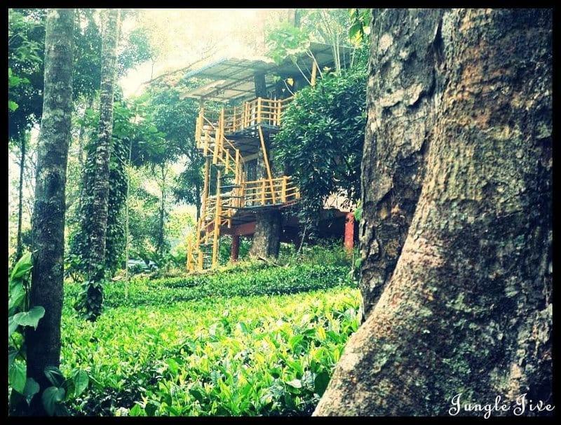Jungle Jive Treehouse And Farm House مونار المظهر الخارجي الصورة