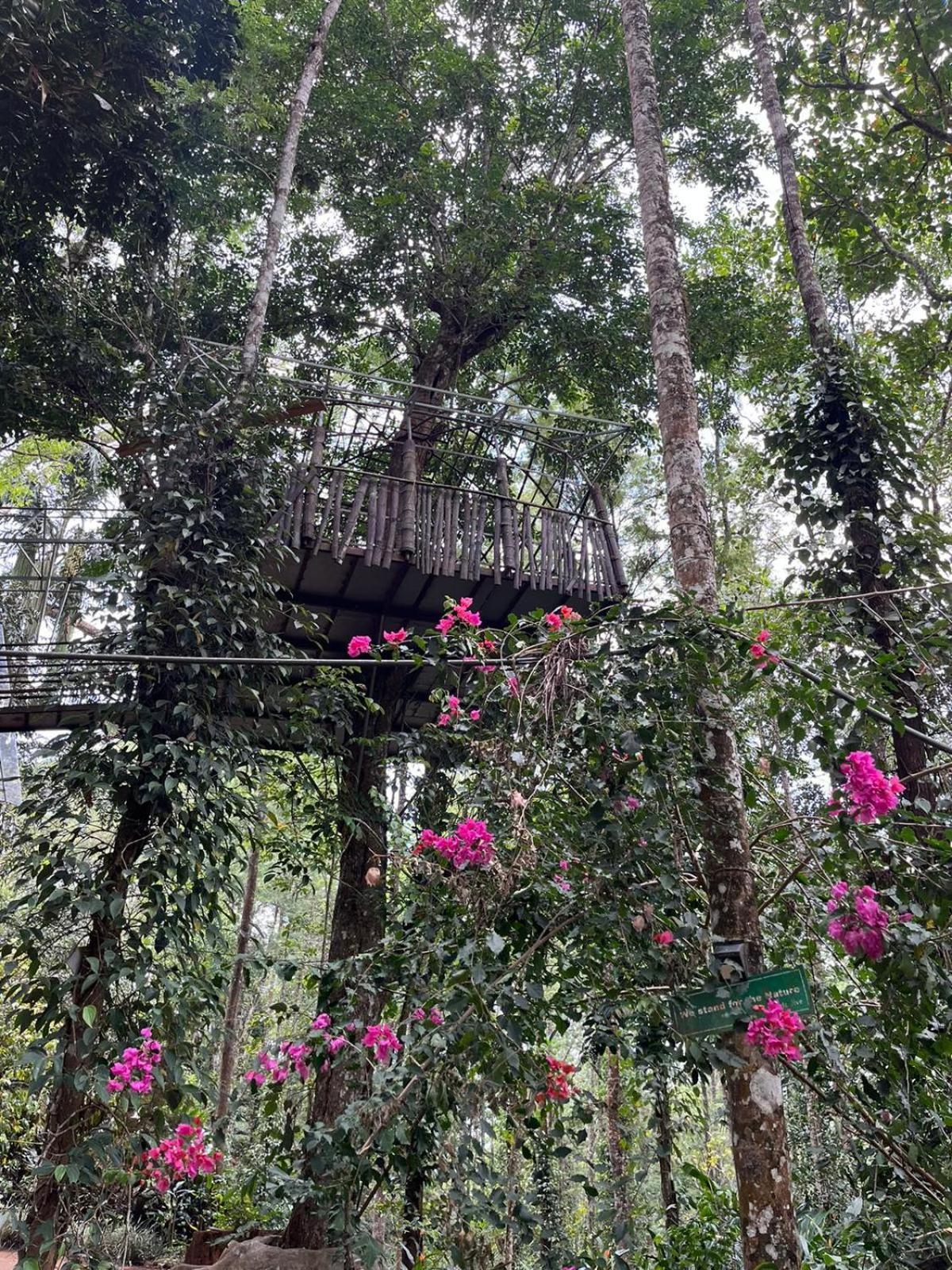 Jungle Jive Treehouse And Farm House مونار المظهر الخارجي الصورة