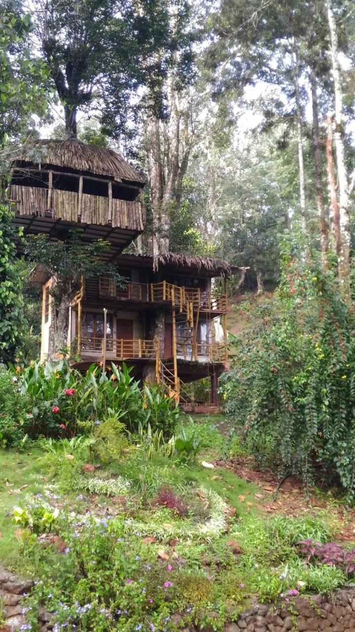 Jungle Jive Treehouse And Farm House مونار المظهر الخارجي الصورة