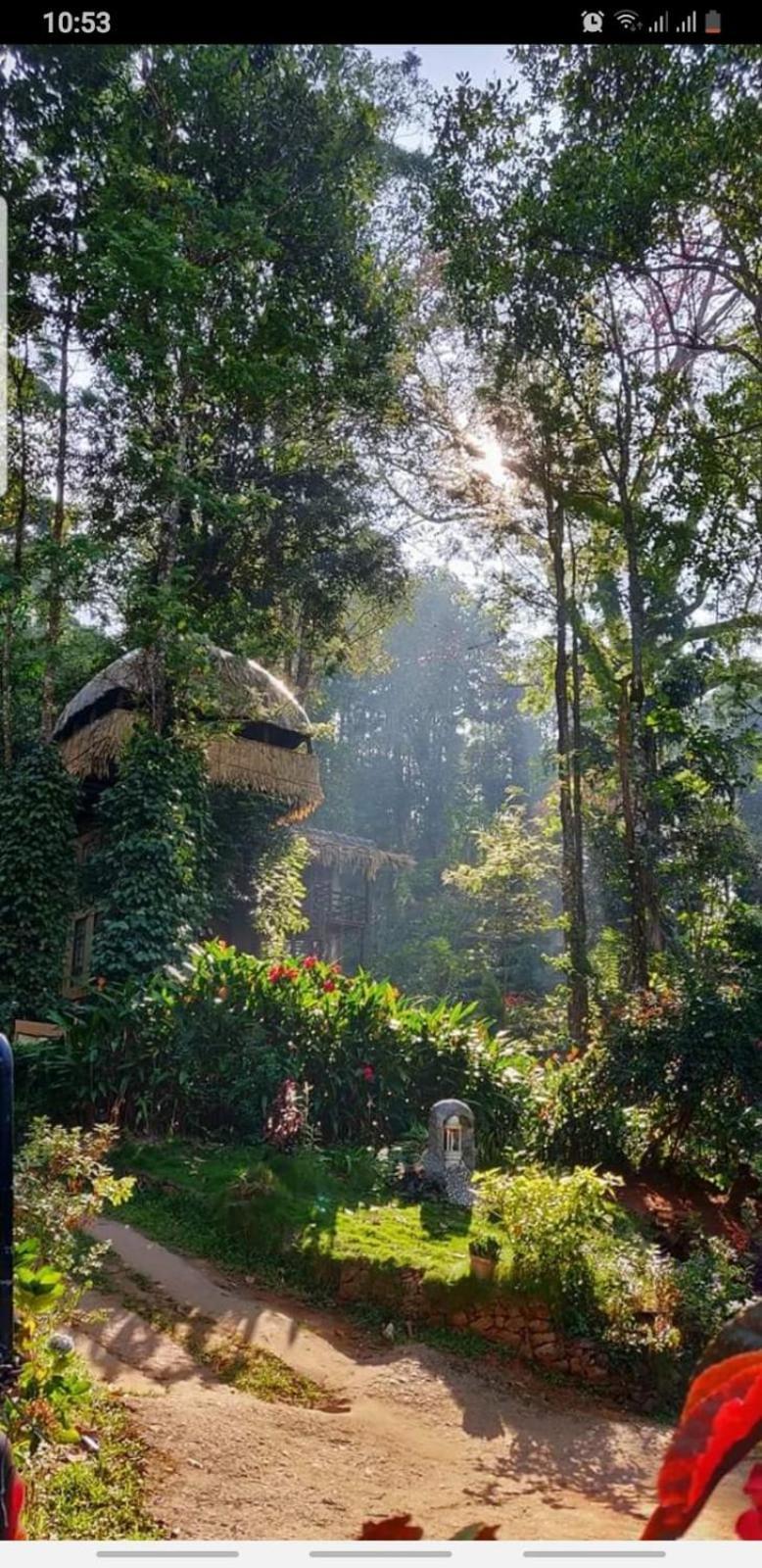 Jungle Jive Treehouse And Farm House مونار المظهر الخارجي الصورة