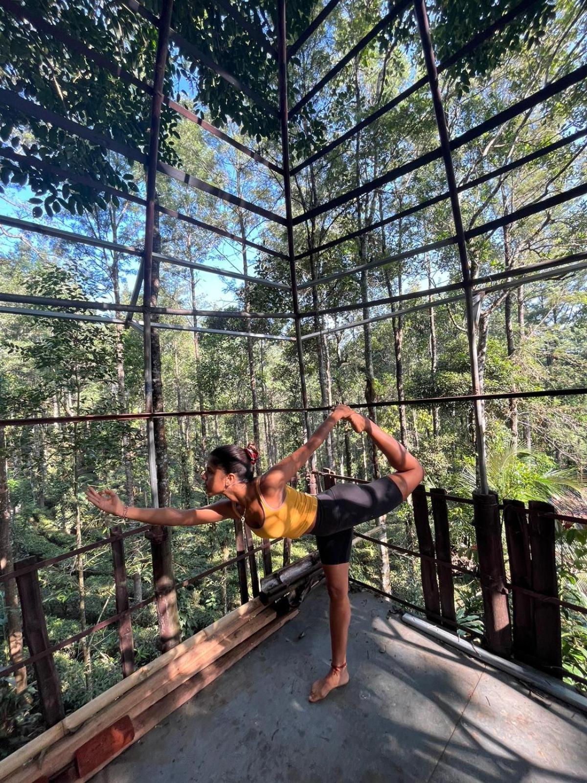 Jungle Jive Treehouse And Farm House مونار المظهر الخارجي الصورة