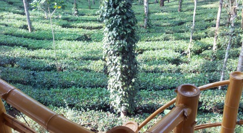 Jungle Jive Treehouse And Farm House مونار المظهر الخارجي الصورة